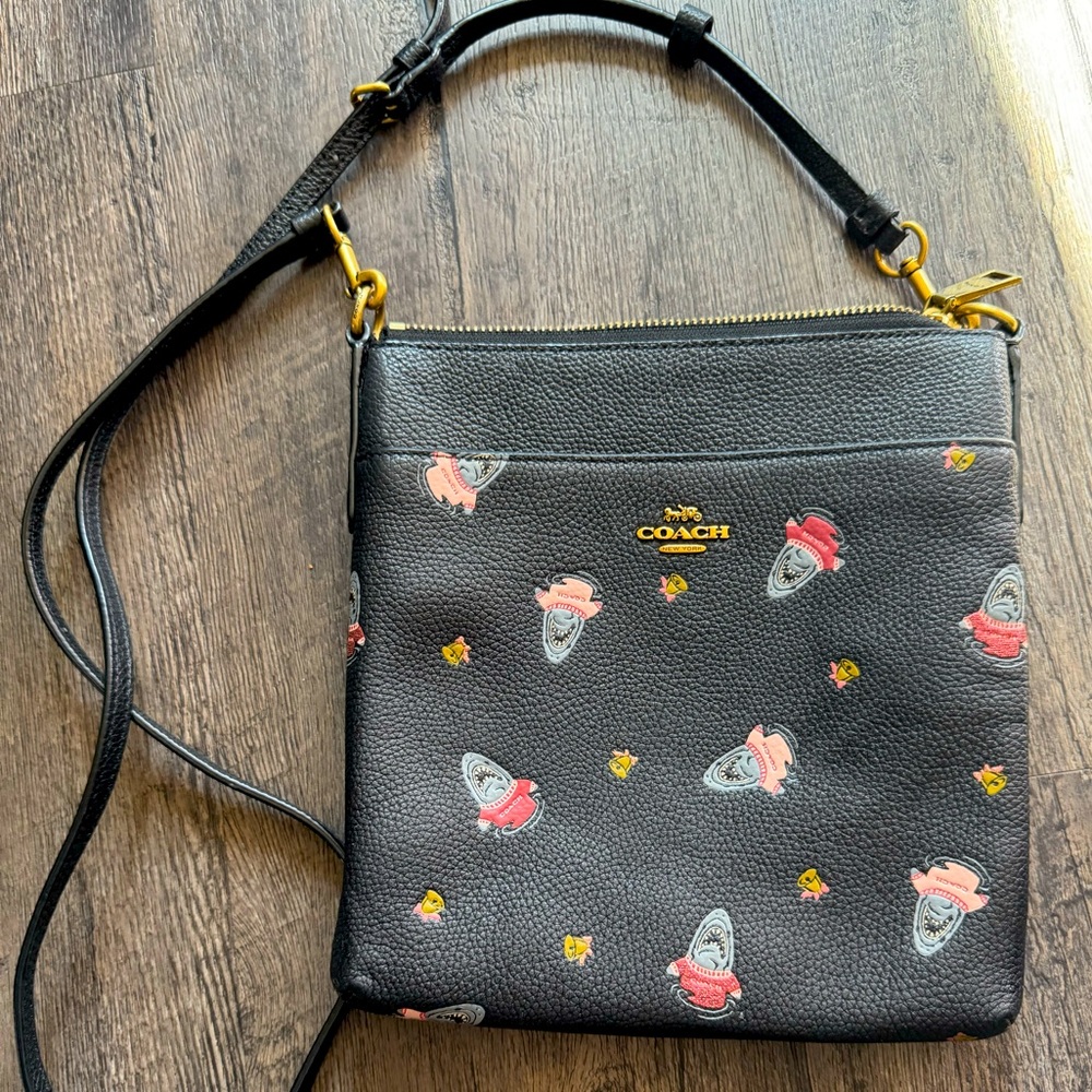 Coach crossbody purse
